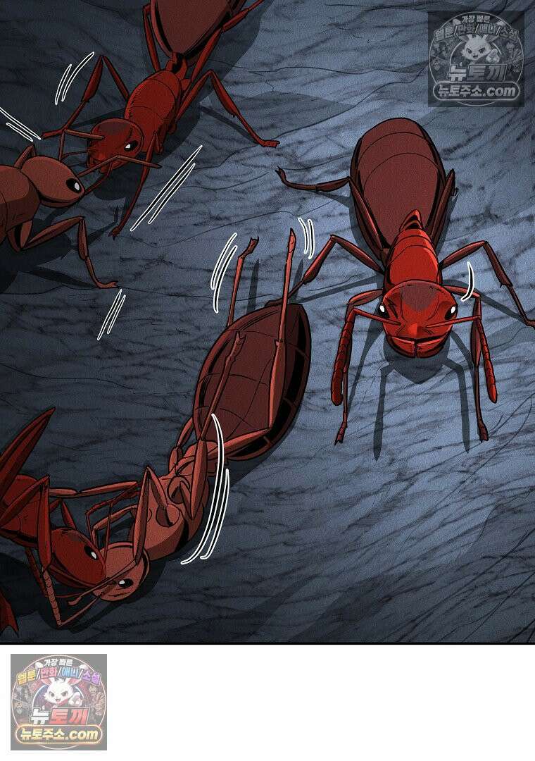 개미 19화 12