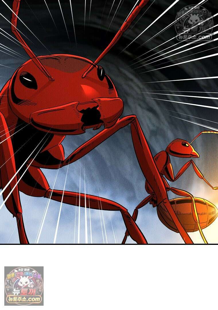 개미 19화 21