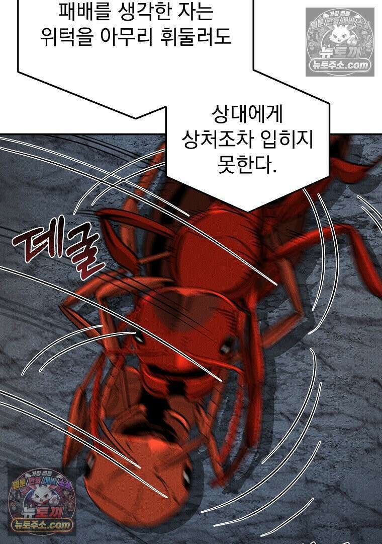 개미 19화 24