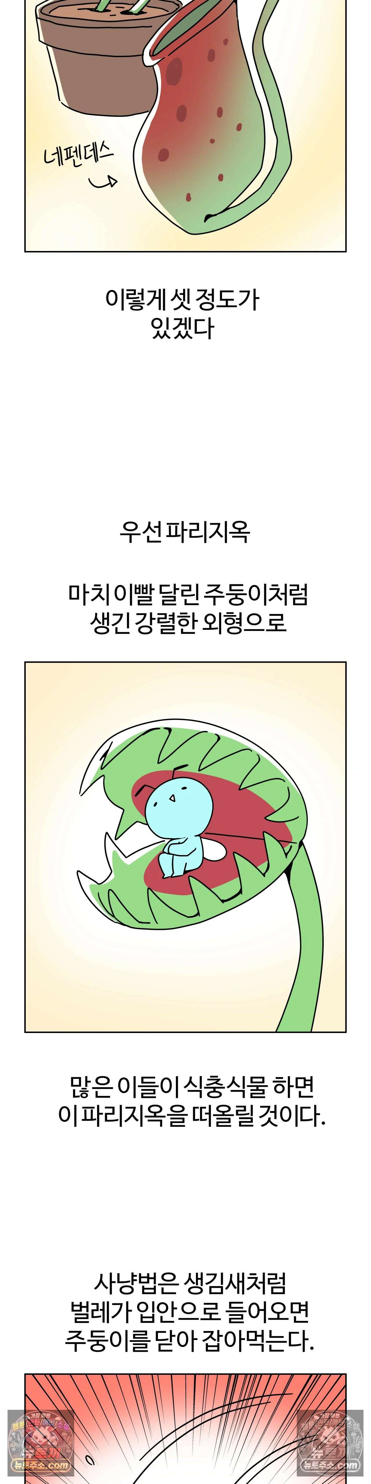 이 무슨 대자연인가 84화 - 식충식물1 6