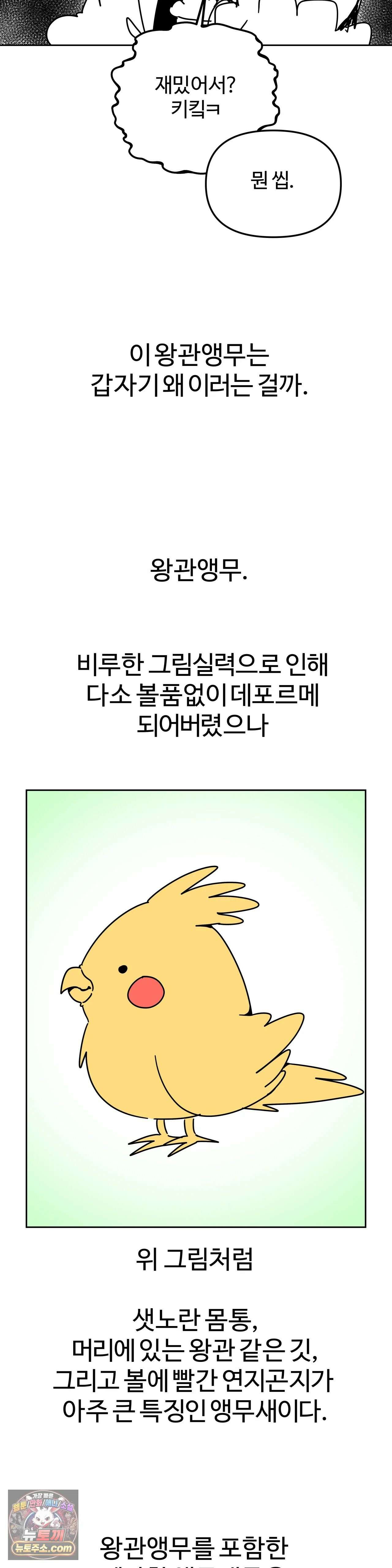 이 무슨 대자연인가 94화 - 왕관앵무1 22