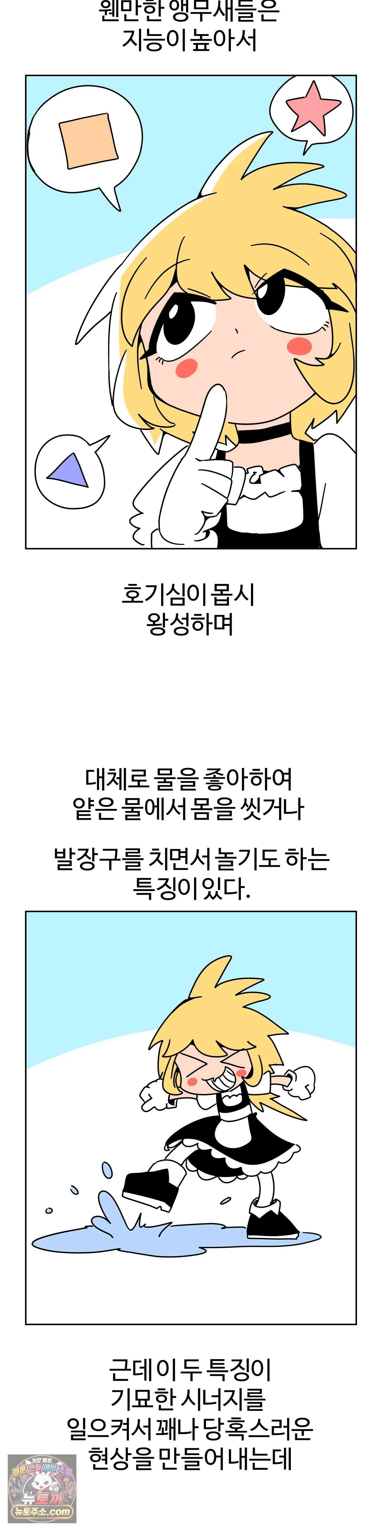 이 무슨 대자연인가 94화 - 왕관앵무1 23