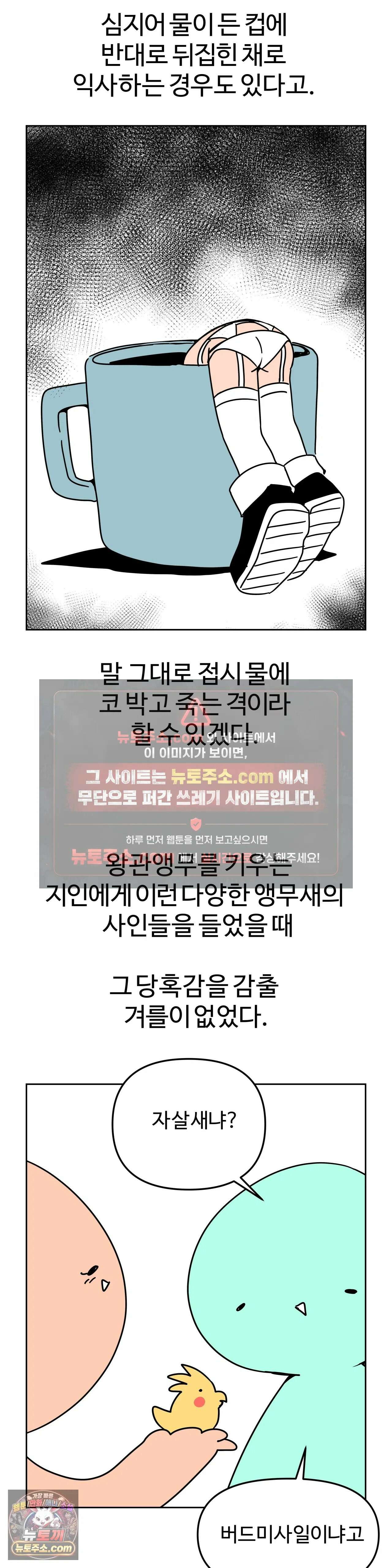 이 무슨 대자연인가 94화 - 왕관앵무1 25