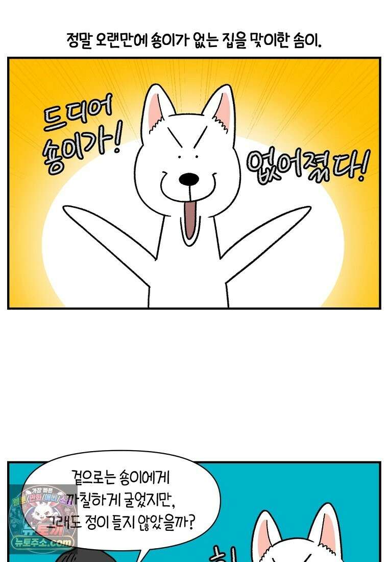 극한견주 시즌2 137화 숑이가 떠나고 난 뒤 2