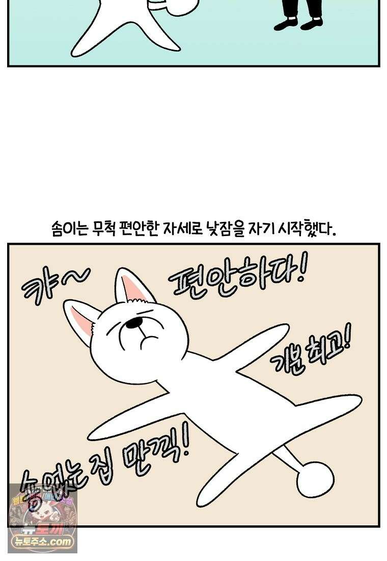 극한견주 시즌2 137화 숑이가 떠나고 난 뒤 4