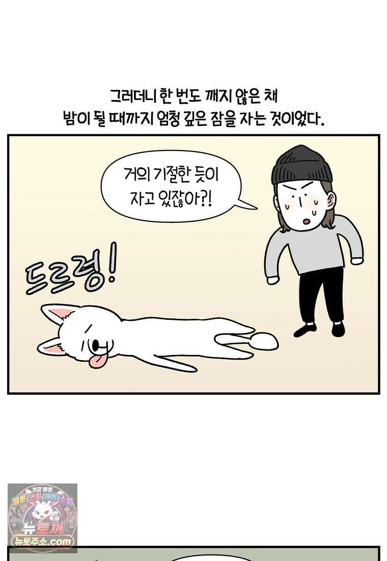 극한견주 시즌2 137화 숑이가 떠나고 난 뒤 5