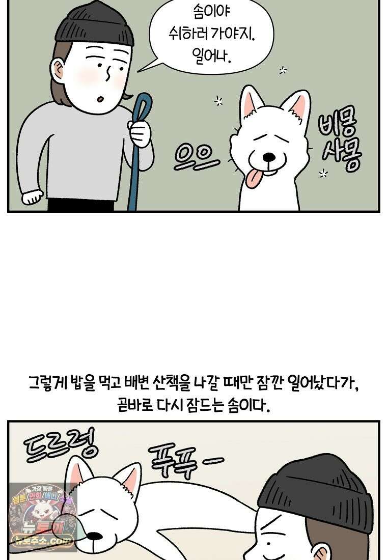 극한견주 시즌2 137화 숑이가 떠나고 난 뒤 6
