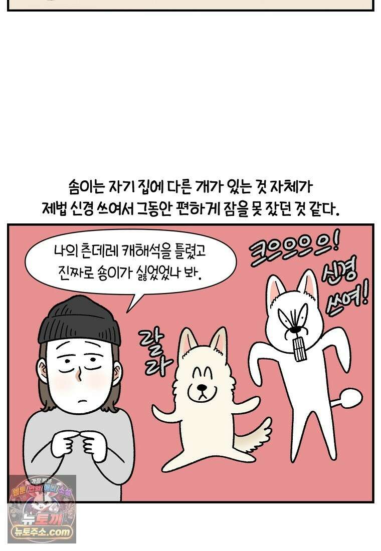 극한견주 시즌2 137화 숑이가 떠나고 난 뒤 8