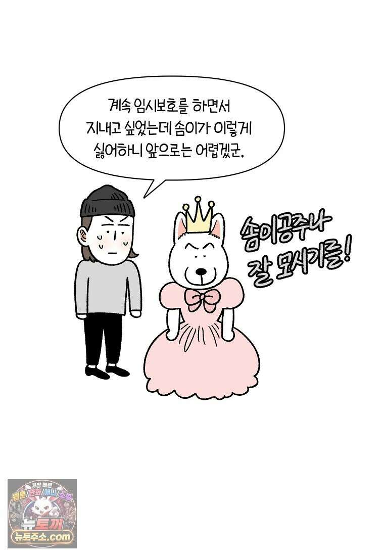 극한견주 시즌2 137화 숑이가 떠나고 난 뒤 9