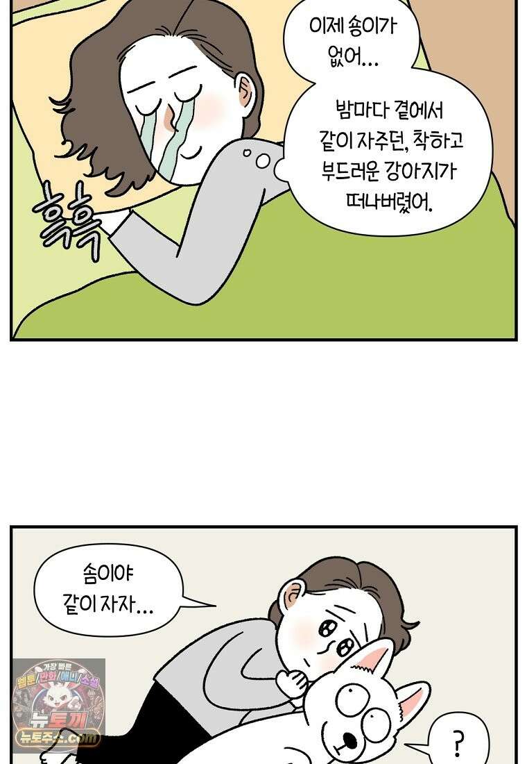 극한견주 시즌2 137화 숑이가 떠나고 난 뒤 11
