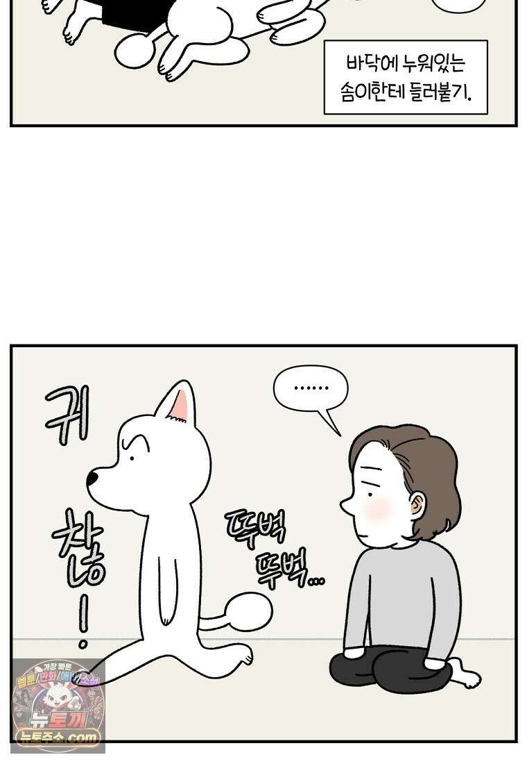 극한견주 시즌2 137화 숑이가 떠나고 난 뒤 12