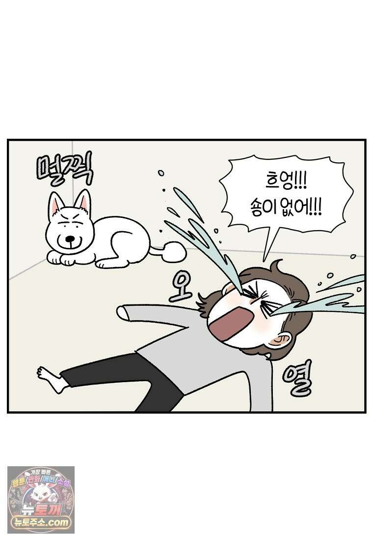 극한견주 시즌2 137화 숑이가 떠나고 난 뒤 13