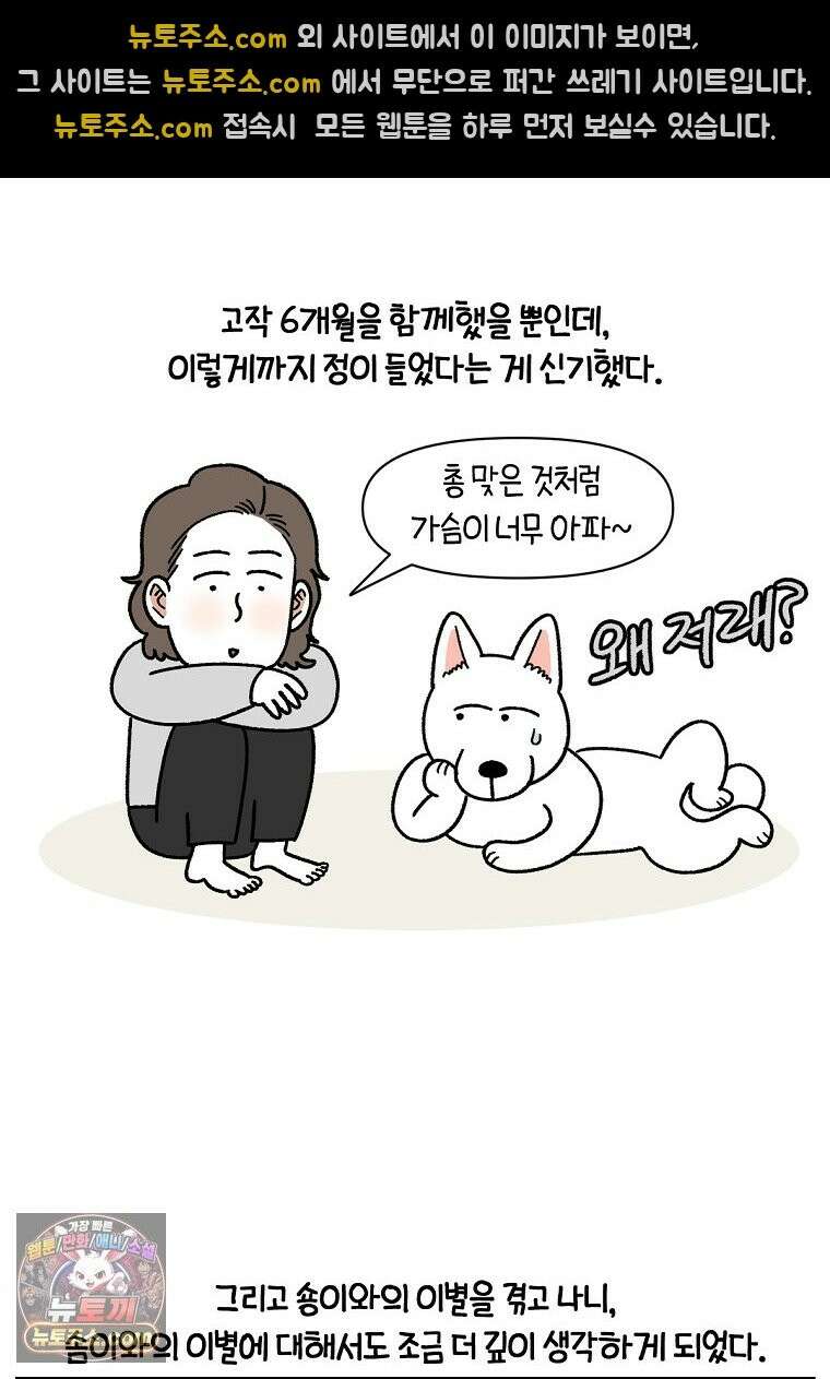 극한견주 시즌2 137화 숑이가 떠나고 난 뒤 14