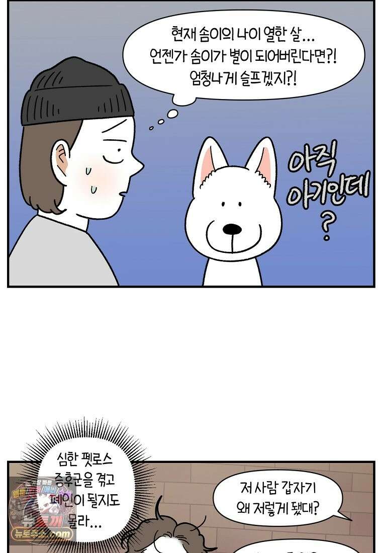 극한견주 시즌2 137화 숑이가 떠나고 난 뒤 15