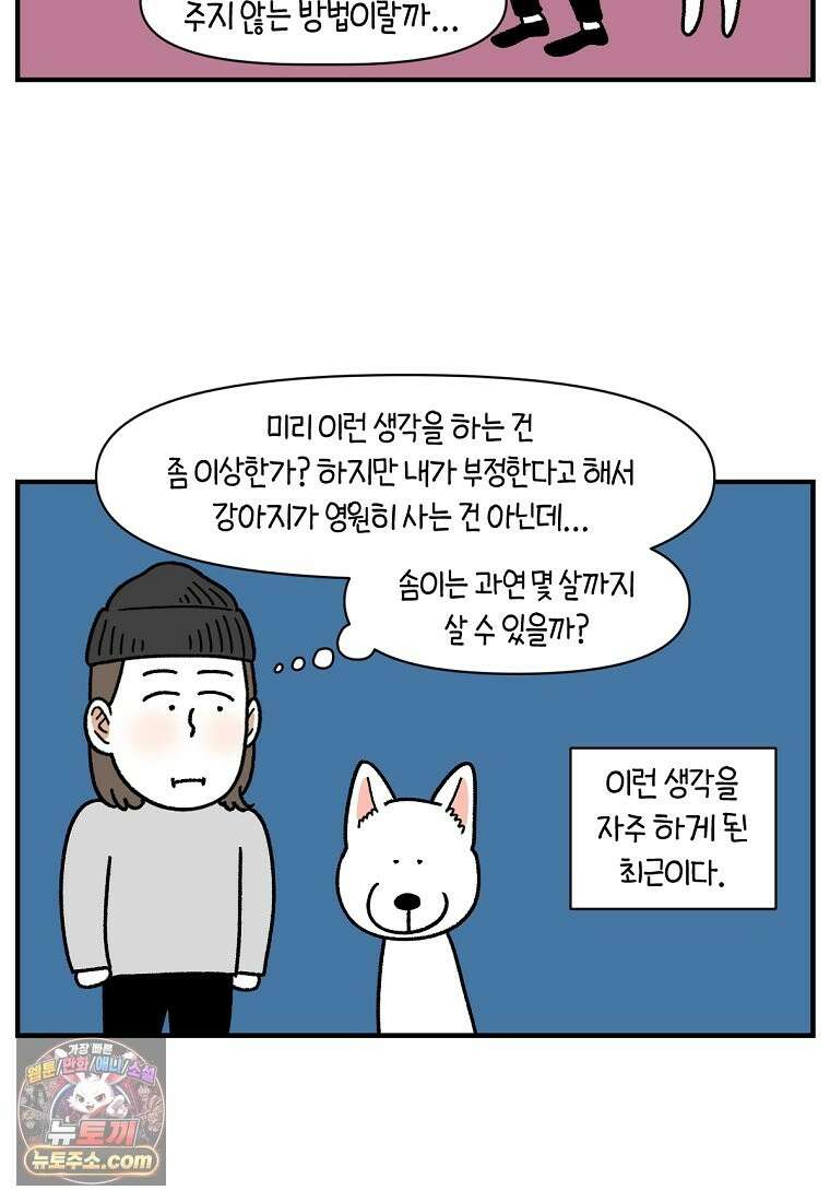 극한견주 시즌2 137화 숑이가 떠나고 난 뒤 18