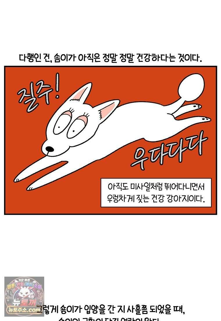 극한견주 시즌2 137화 숑이가 떠나고 난 뒤 19