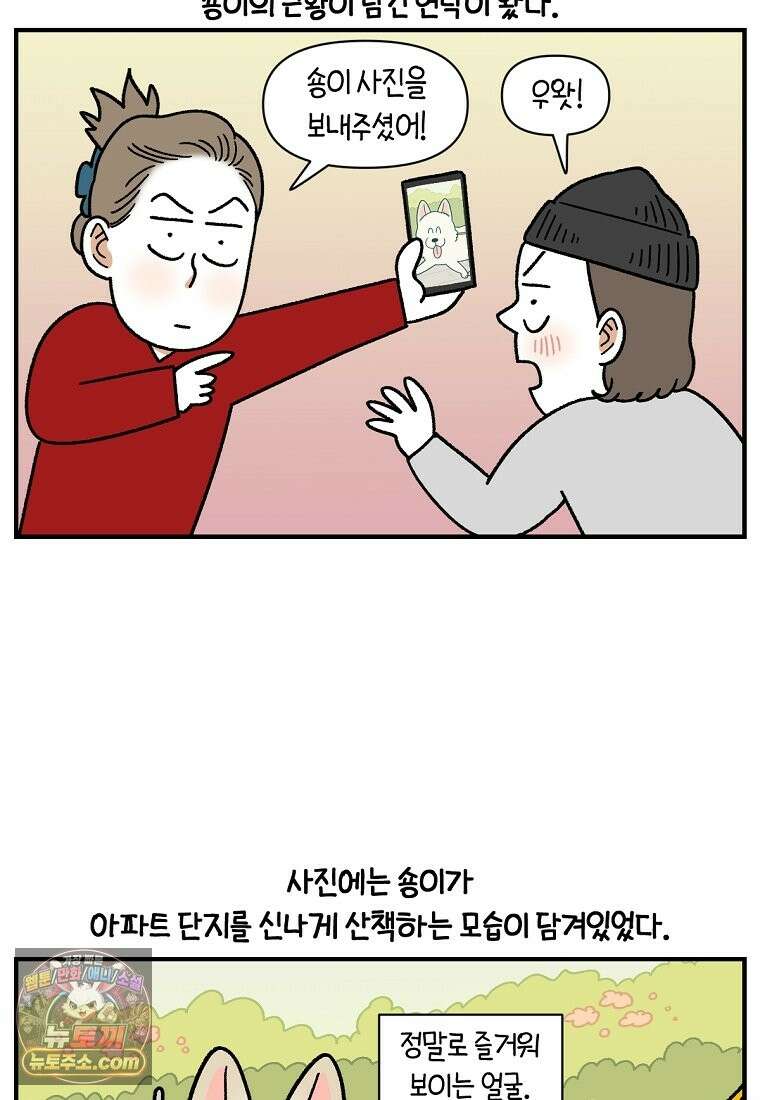 극한견주 시즌2 137화 숑이가 떠나고 난 뒤 20