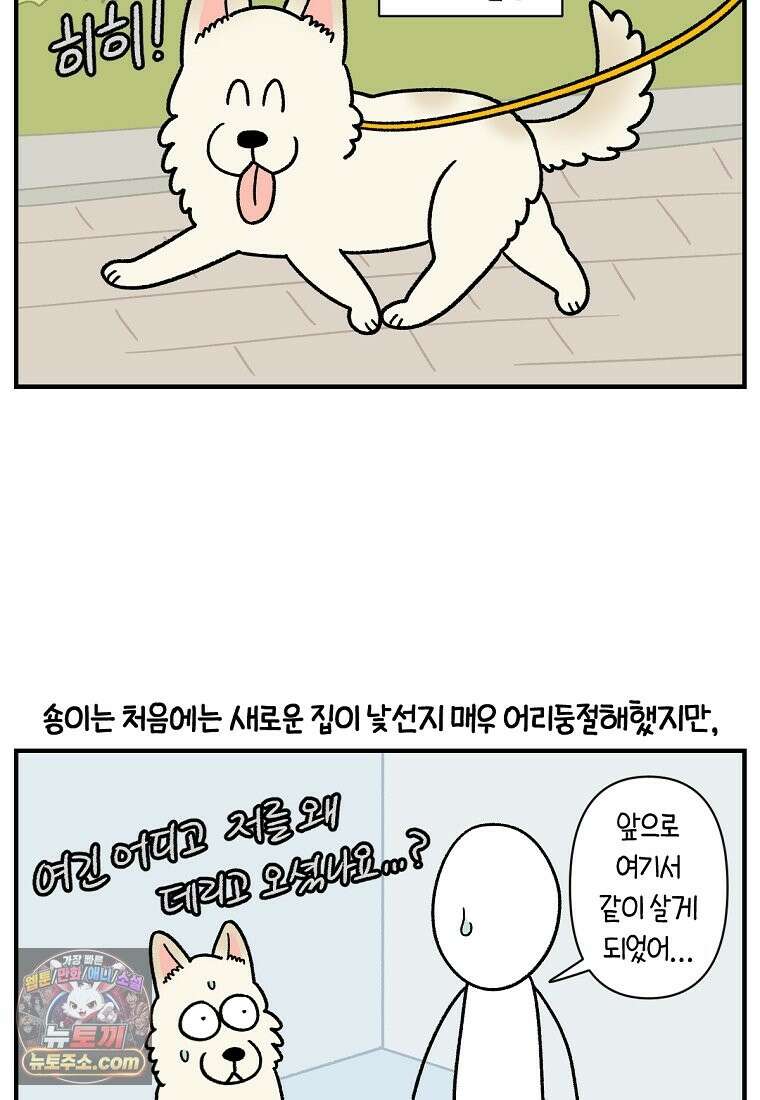 극한견주 시즌2 137화 숑이가 떠나고 난 뒤 21