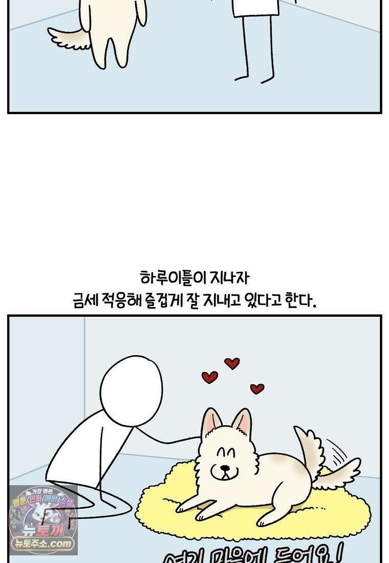극한견주 시즌2 137화 숑이가 떠나고 난 뒤 22