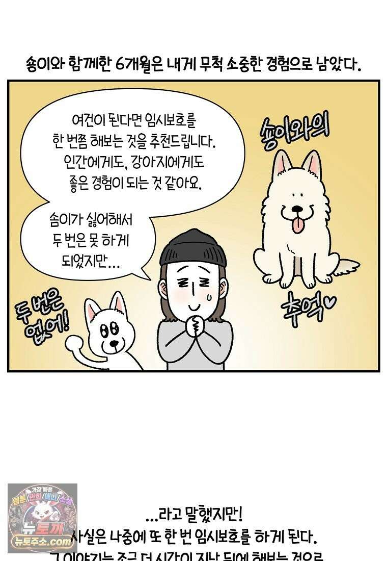 극한견주 시즌2 137화 숑이가 떠나고 난 뒤 24