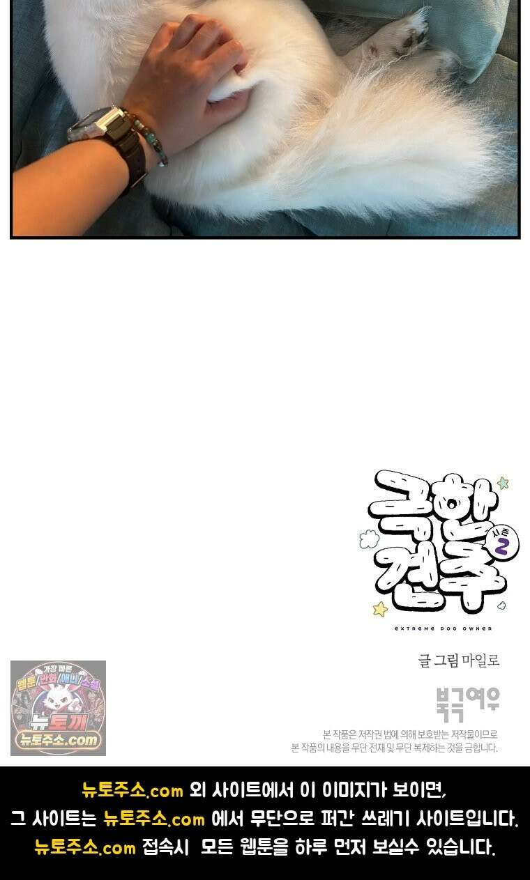극한견주 시즌2 137화 숑이가 떠나고 난 뒤 27