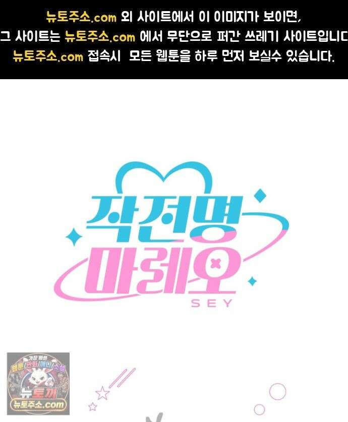 작전명 마레오 후기 1