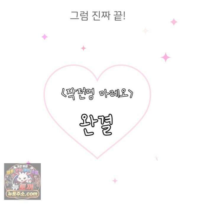 작전명 마레오 후기 13