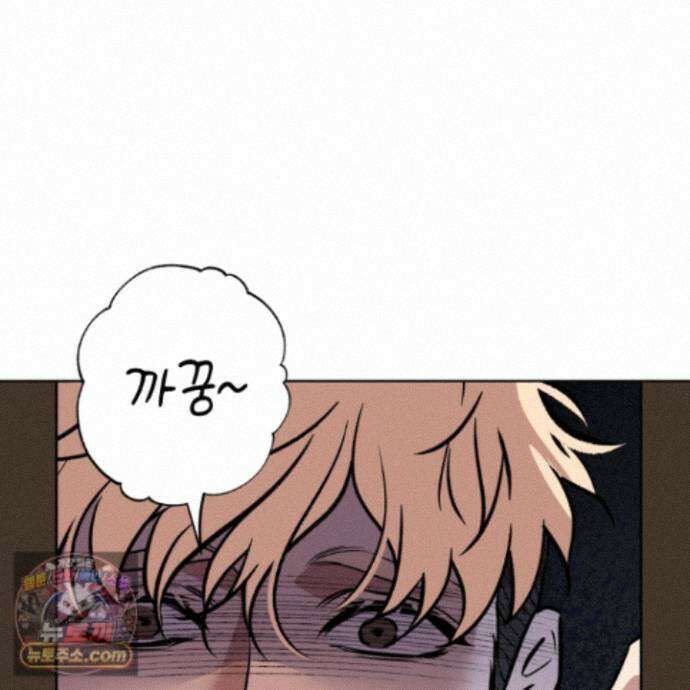 아마도 매일 비 44화 83