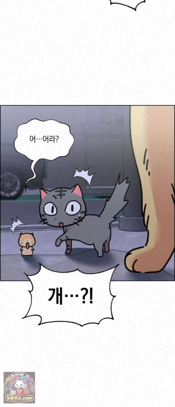 냥냥찍찍! 61화． 고양이는 원래 개를 싫어함 4