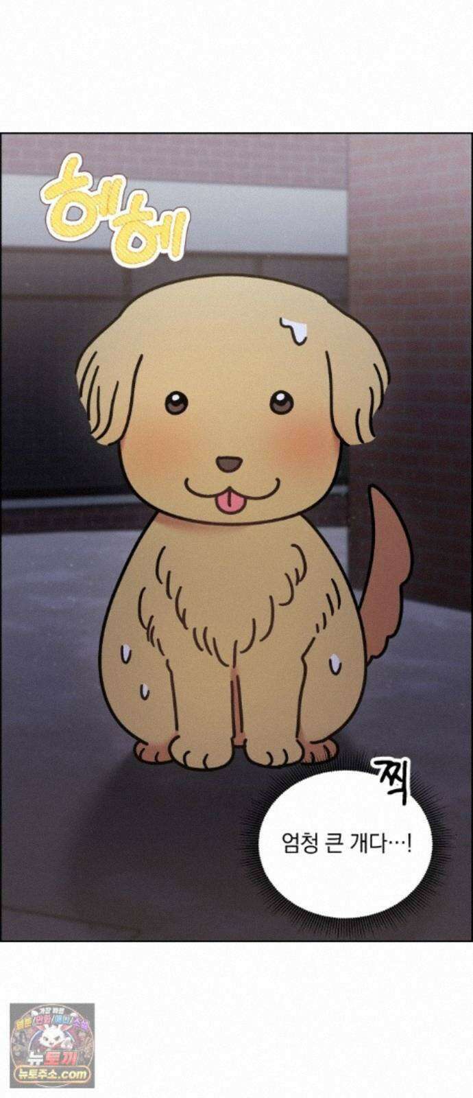 냥냥찍찍! 61화． 고양이는 원래 개를 싫어함 6