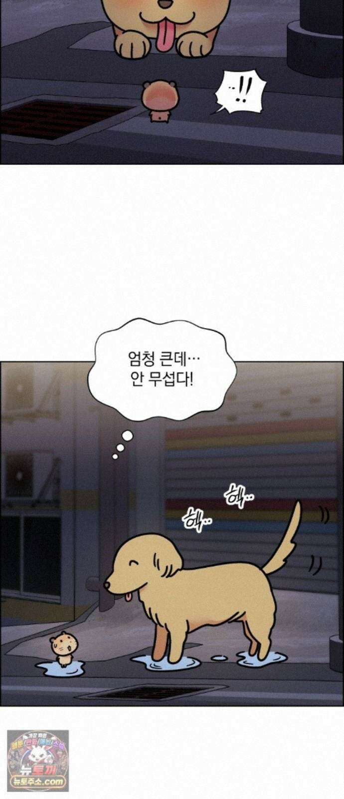냥냥찍찍! 61화． 고양이는 원래 개를 싫어함 9