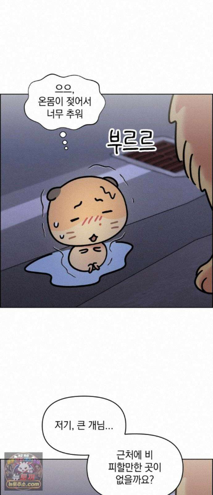 냥냥찍찍! 61화． 고양이는 원래 개를 싫어함 10