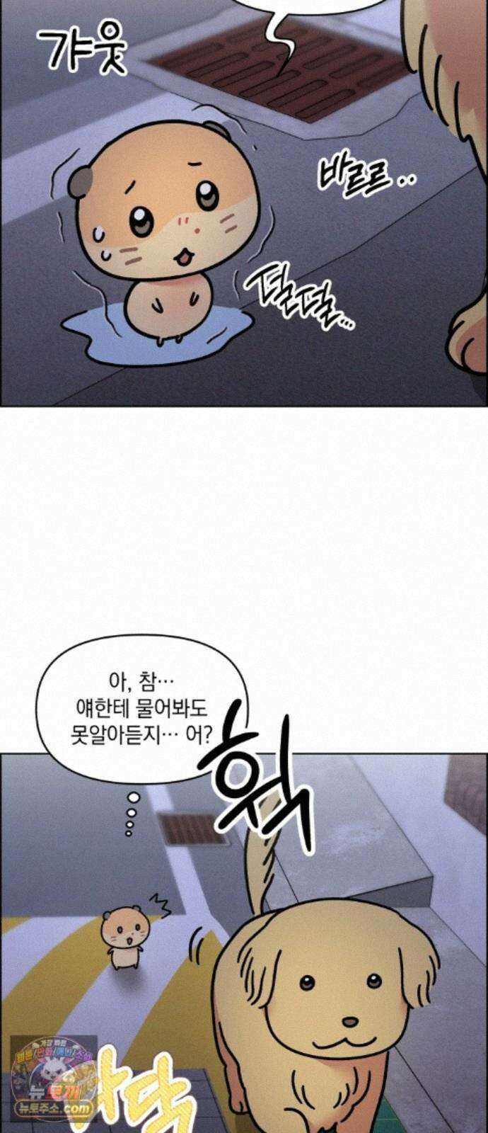 냥냥찍찍! 61화． 고양이는 원래 개를 싫어함 11
