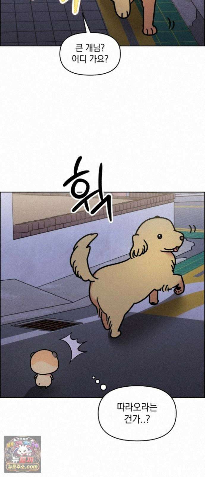 냥냥찍찍! 61화． 고양이는 원래 개를 싫어함 12