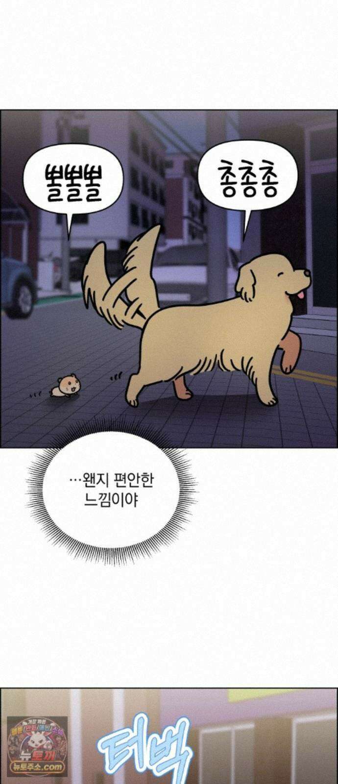 냥냥찍찍! 61화． 고양이는 원래 개를 싫어함 13