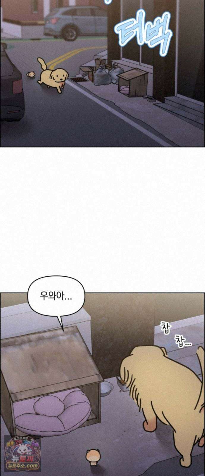 냥냥찍찍! 61화． 고양이는 원래 개를 싫어함 14