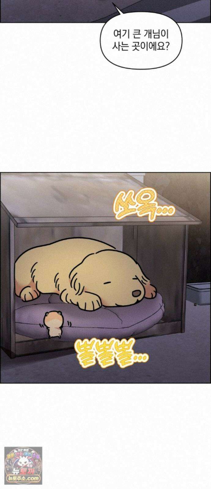 냥냥찍찍! 61화． 고양이는 원래 개를 싫어함 15