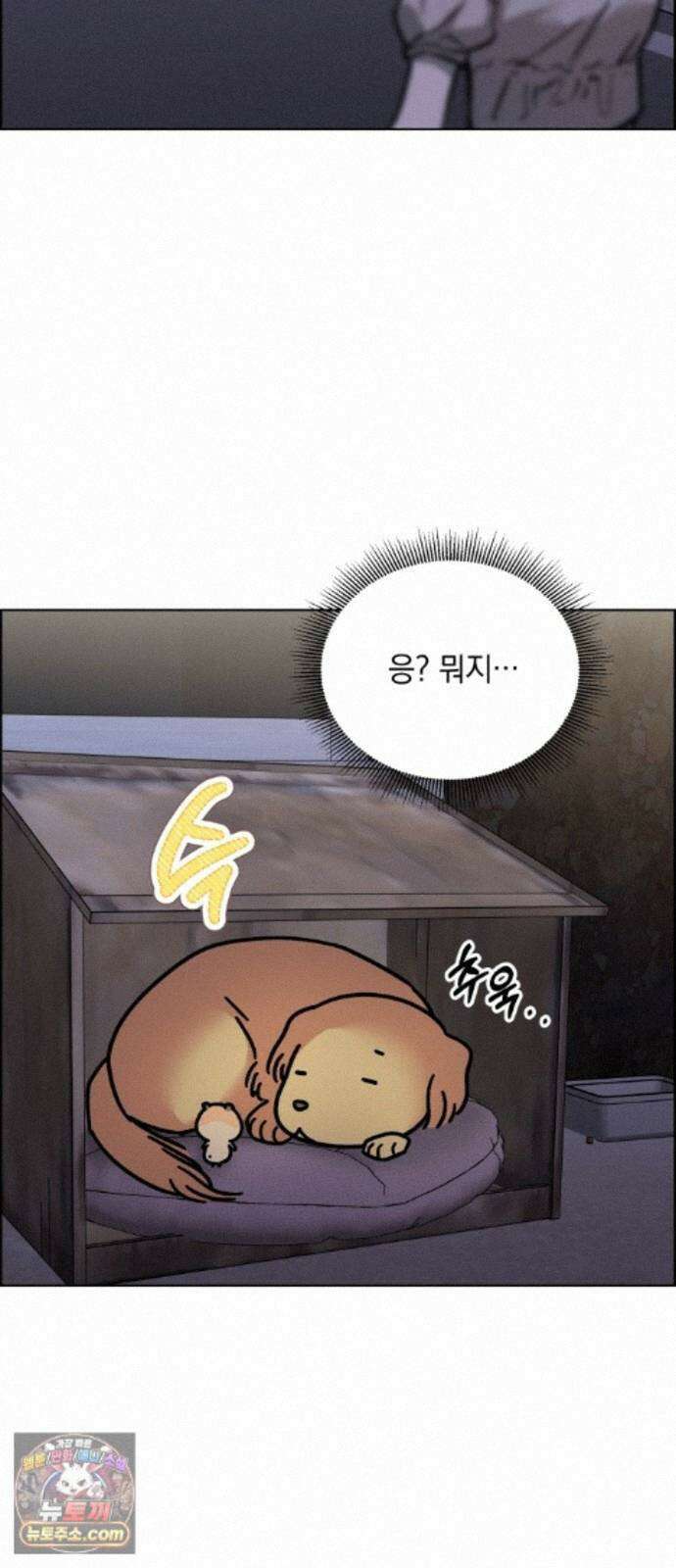 냥냥찍찍! 61화． 고양이는 원래 개를 싫어함 18