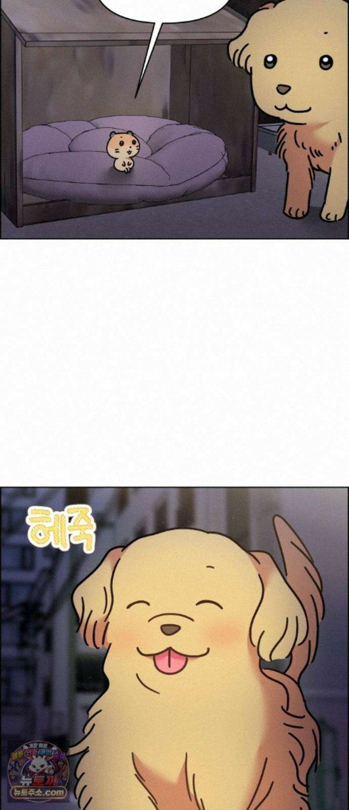 냥냥찍찍! 61화． 고양이는 원래 개를 싫어함 20