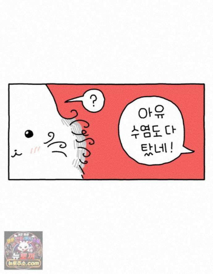 먼지 덩어리 짱덕 72． 동물들이 사람처럼 사는 세상 7