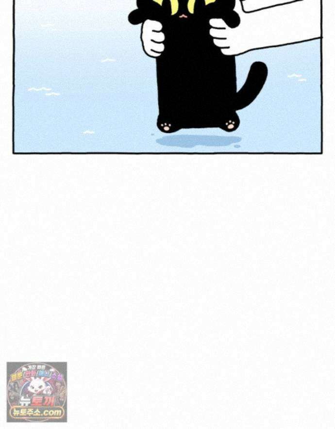 먼지 덩어리 짱덕 72． 동물들이 사람처럼 사는 세상 23