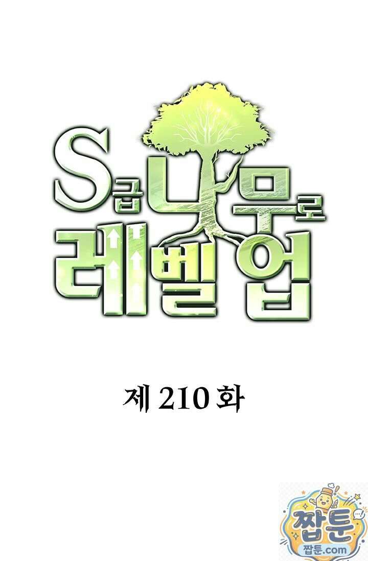 S급 나무로 레벨업 210화 1