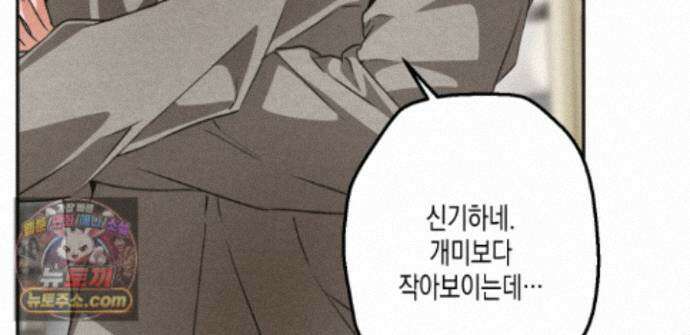 하이스쿨 솔티 하트 24화 241