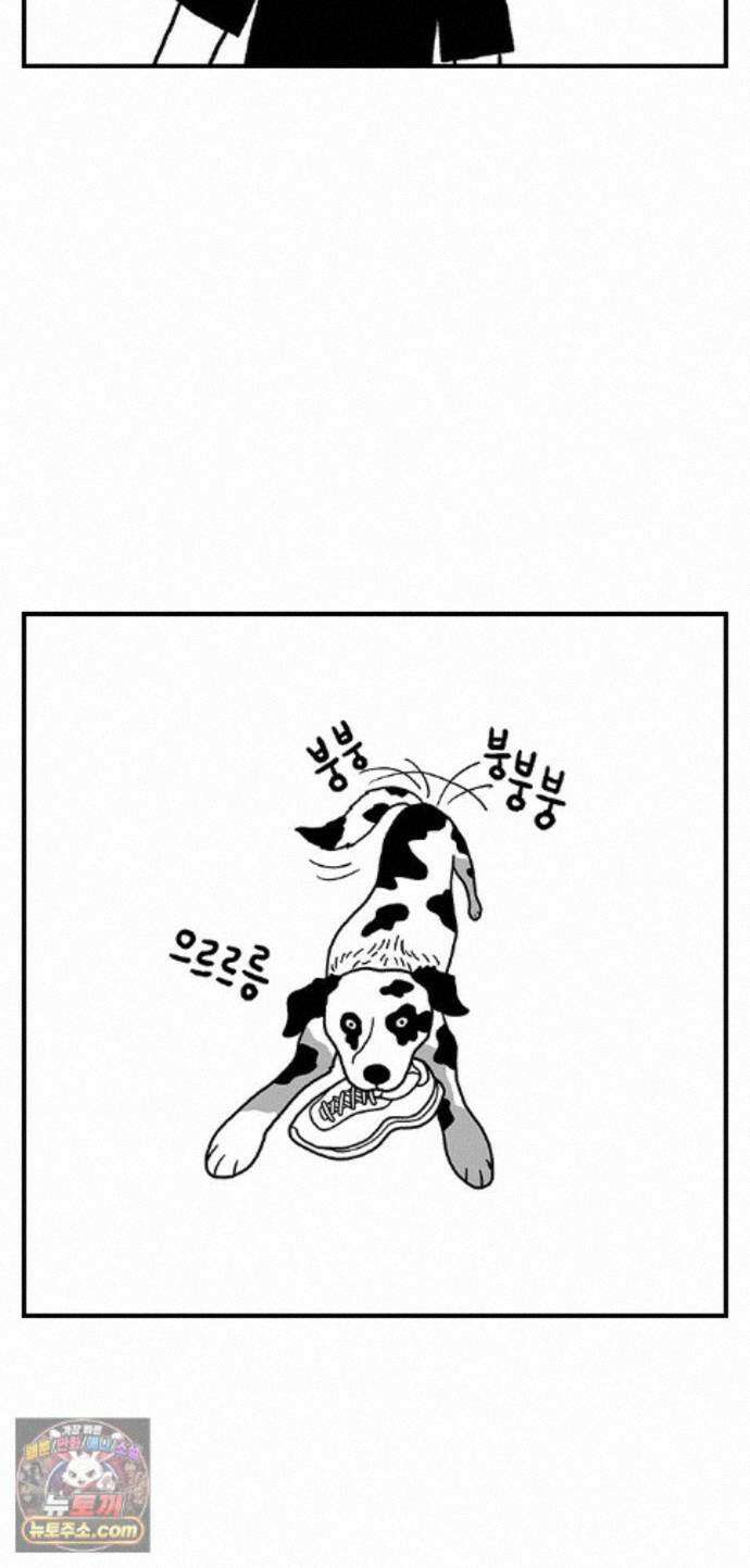 펫로스클럽 ＃39． 쿠키 앤 크림 1