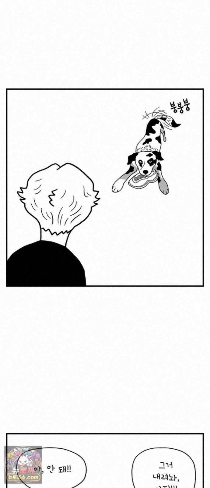 펫로스클럽 ＃39． 쿠키 앤 크림 2