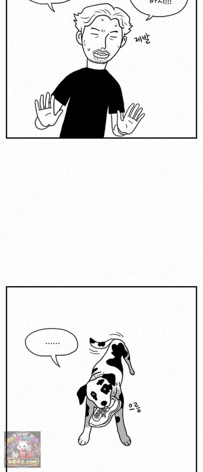 펫로스클럽 ＃39． 쿠키 앤 크림 3