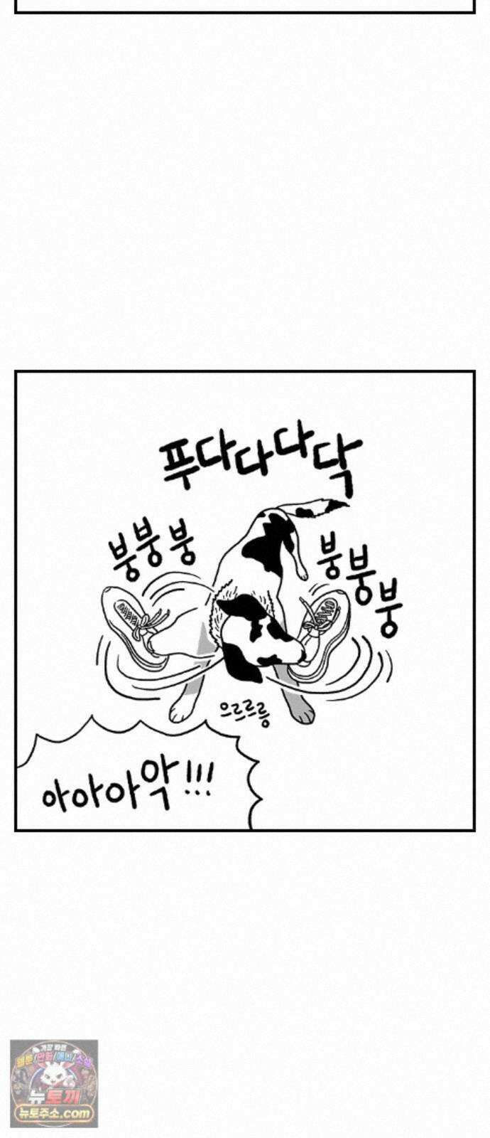 펫로스클럽 ＃39． 쿠키 앤 크림 4