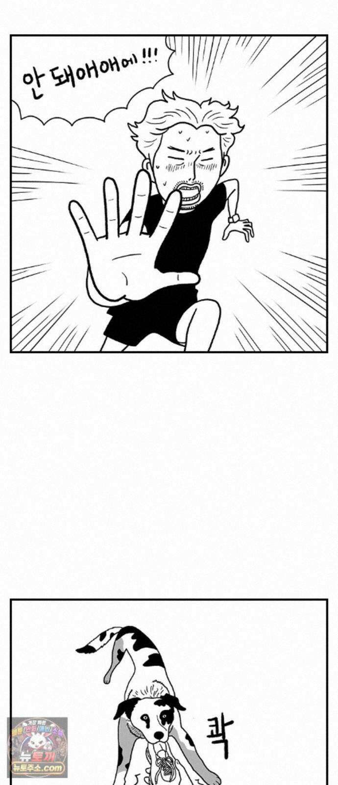 펫로스클럽 ＃39． 쿠키 앤 크림 5