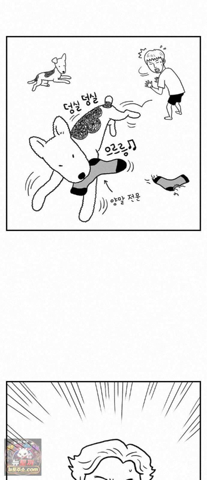 펫로스클럽 ＃39． 쿠키 앤 크림 10