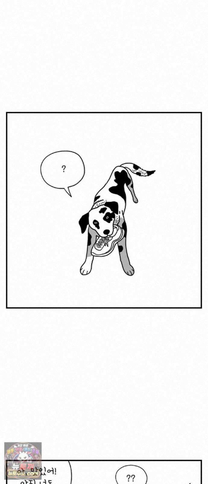 펫로스클럽 ＃39． 쿠키 앤 크림 12